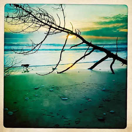 Chai à Bois Oléron Casa de Férias *